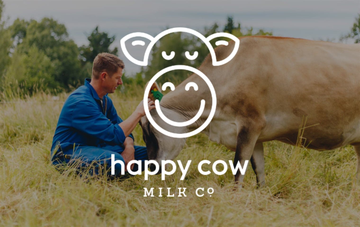 Happy Cow Milk Company logo - Catchlight Webdesign Christchurch